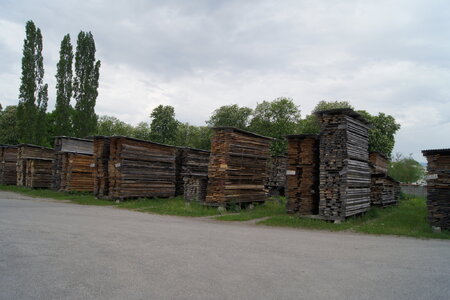 Holz.JPG