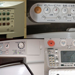 toilet-controls.jpg