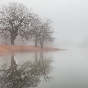 fog-wallpapers-27862-4519903.jpg