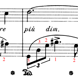 Chopin Nocturne C# minor Op. posthum.PNG