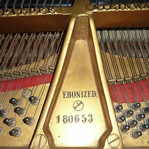 PlattendübelSteinway.jpg