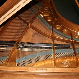 Bechstein3.jpg