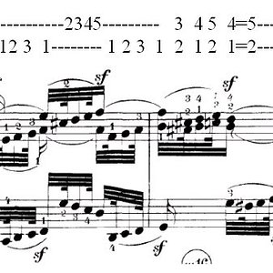 aus op.111 Fingersatz.jpg