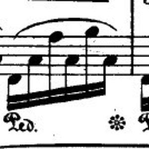 Chopin linke Hand 1.jpg