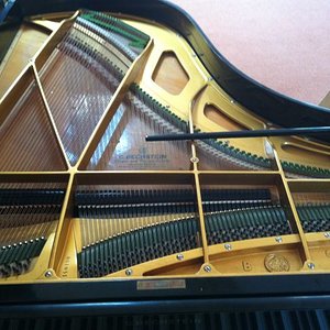 Bechstein.jpg