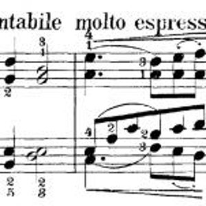 Fingersatz Anfang op.110.jpg