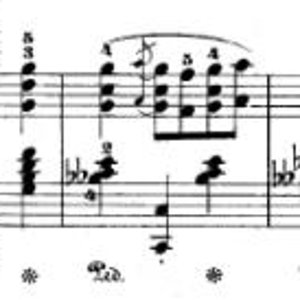 op.35 gern verlangsamt.jpg