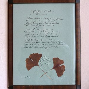 FFM_Willemer-Gartenhaus_Innen_OG1_Ginkgo_biloba.jpg