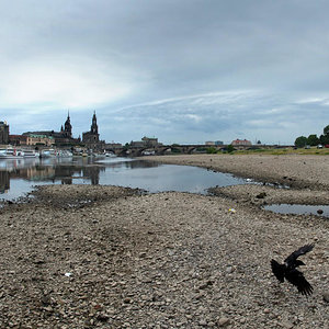 die-elbe-macht-schlapp-niedrigwasser-stoppt-schifffahrt.jpg