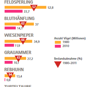 Bestandszahlen.png