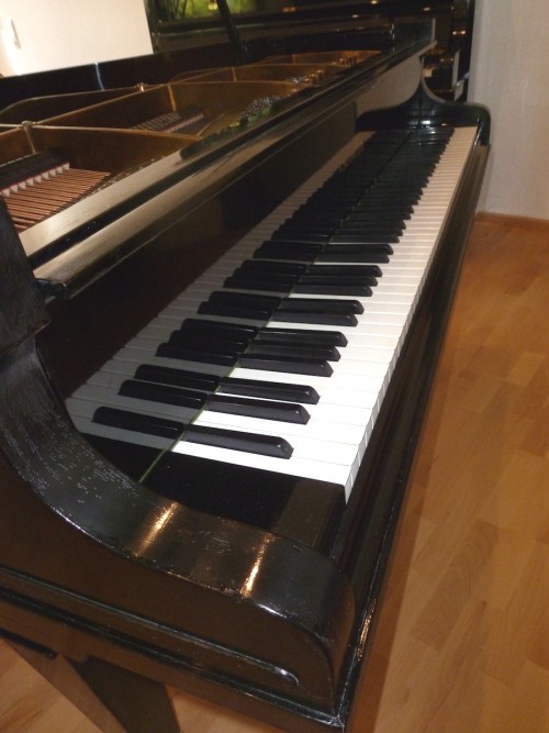 Bechstein-L-web8 500x667.jpg