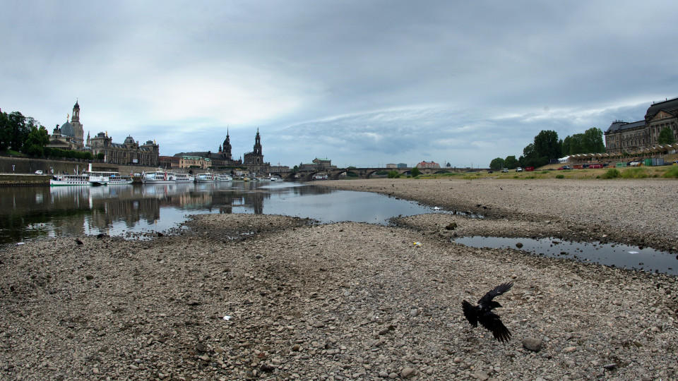 die-elbe-macht-schlapp-niedrigwasser-stoppt-schifffahrt.jpg