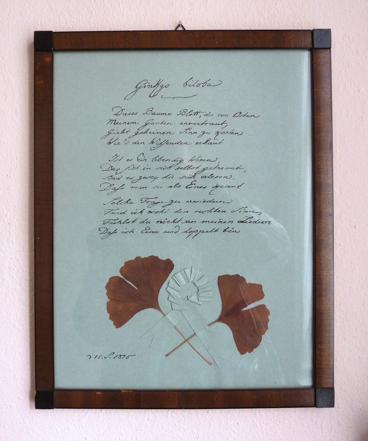 FFM_Willemer-Gartenhaus_Innen_OG1_Ginkgo_biloba.jpg